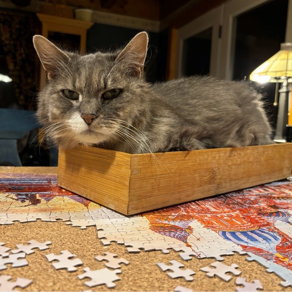 Welcome! - Picture 4 of 7